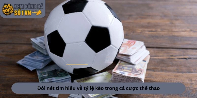 Đôi nét tìm hiểu về tỷ lệ kèo trong cá cược thể thao